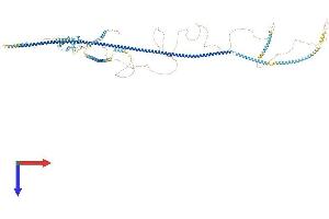 AlphaFold protein structure predicition of Mouse Recombinant Ofd1 Protein, UniprotID Q80Z25