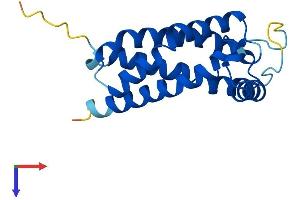 AlphaFold protein structure predicition of Human Recombinant TMEM97 Protein, UniprotID Q5BJF2