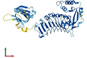AlphaFold protein structure predicition of Human Recombinant LRR1 Protein, UniprotID Q96L50