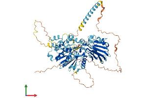 AlphaFold protein structure predicition of Human Recombinant NOA1 Protein, UniprotID Q8NC60