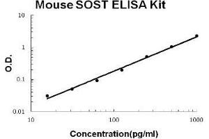 Mouse Sclerostin/SOST PicoKine ELISA Kit standard curve (Sclerostin Kit ELISA)