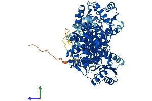 AlphaFold protein structure predicition of Mouse Recombinant Pfkp Protein, UniprotID Q9WUA3