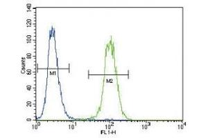 UPA antibody flow cytometric analysis of A2058 cells (green) compared to a negative control (blue). (PLAU anticorps  (AA 396-426))