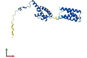AlphaFold protein structure predicition of Human Recombinant VPS28 Protein, UniprotID Q9UK41