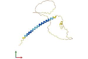 AlphaFold protein structure predicition of Human Recombinant BMF Protein, UniprotID Q96LC9