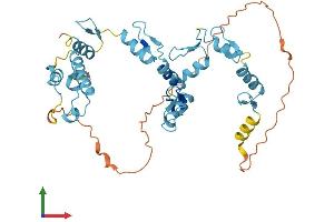 AlphaFold protein structure predicition of Human Recombinant ZNF707 Protein, UniprotID Q96C28