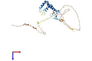 AlphaFold protein structure predicition of Human Recombinant SPRY4 Protein, UniprotID Q9C004
