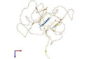 AlphaFold protein structure predicition of Mouse Recombinant Nufip2 Protein, UniprotID Q5F2E7