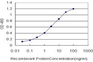 Detection limit for recombinant GST tagged TAPBPL is approximately 0.