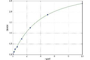 A typical standard curve