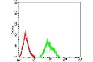 Flow cytometric analysis of Ramos cells using CD120B mouse mAb (green) and negative control (red).