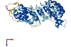 AlphaFold protein structure predicition of Human Recombinant LRRC14 Protein, UniprotID Q15048