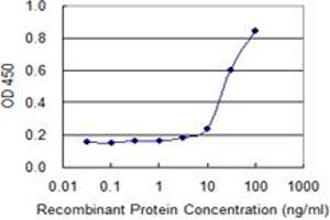 Detection limit for recombinant GST tagged SPAG4 is 1 ng/ml as a capture antibody. (SPAG4 anticorps  (AA 221-330))
