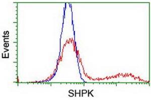 HEK293T cells transfected with either RC204421 overexpress plasmid (Red) or empty vector control plasmid (Blue) were immunostained by anti-SHPK antibody (ABIN2454861), and then analyzed by flow cytometry. (SHPK anticorps)