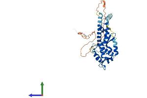 AlphaFold protein structure predicition of Human Recombinant MAGEA1 Protein, UniprotID P43355