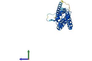 AlphaFold protein structure predicition of Human Recombinant TSPAN33 Protein, UniprotID Q86UF1