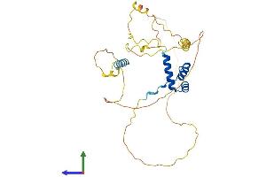 AlphaFold protein structure predicition of Human Recombinant OTP Protein, UniprotID Q5XKR4