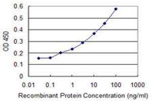 Detection limit for recombinant GST tagged AMELX is 0. (AMELX anticorps  (AA 93-191))