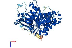 AlphaFold protein structure predicition of Mouse Recombinant Tubb4b Protein, UniprotID P68372