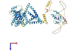 AlphaFold protein structure predicition of Human Recombinant RNF103 Protein, UniprotID O00237