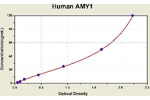 Diagramm of the ELISA kit to detect Human AMY1with the optical density on the x-axis and the concentration on the y-axis. (Alpha-amylase 1 Kit ELISA)