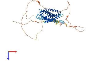 AlphaFold protein structure predicition of Mouse Recombinant Gpr152 Protein, UniprotID Q8BXS7