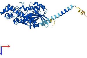 AlphaFold protein structure predicition of Human Recombinant GNA11 Protein, UniprotID P29992
