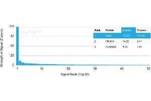 Analysis of Protein Array containing more than 19,000 full-length human proteins using CD22-Monospecific Mouse Monoclonal Antibody (BLCAM/1795) Z- and S- Score: The Z-score represents the strength of a signal that a monoclonal antibody (MAb) (in combination with a fluorescently-tagged anti-IgG secondary antibody) produces when binding to a particular protein on the HuProtTM array.