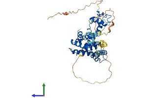 AlphaFold protein structure predicition of Mouse Recombinant Nr2e3 Protein, UniprotID Q9QXZ7