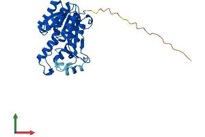 AlphaFold protein structure predicition of Human Recombinant DHRS4 Protein, UniprotID Q9BTZ2