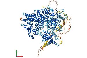 AlphaFold protein structure predicition of Human Recombinant PHKA2 Protein, UniprotID P46019
