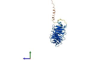 AlphaFold protein structure predicition of Human Recombinant WDR55 Protein, UniprotID Q9H6Y2
