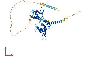 AlphaFold protein structure predicition of Mouse Recombinant Mageb18 Protein, UniprotID Q8BQR7