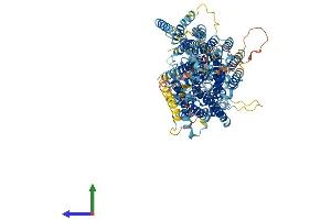 AlphaFold protein structure predicition of Mouse Recombinant Pigo Protein, UniprotID Q9JJI6
