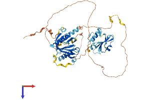 AlphaFold protein structure predicition of Mouse Recombinant Shc3 Protein, UniprotID Q61120