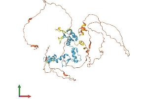 AlphaFold protein structure predicition of Human Recombinant ZIC3 Protein, UniprotID O60481