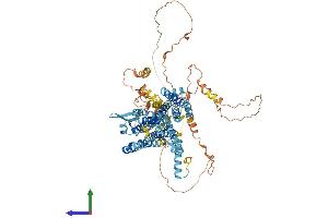 AlphaFold protein structure predicition of Human Recombinant PHTF2 Protein, UniprotID Q8N3S3