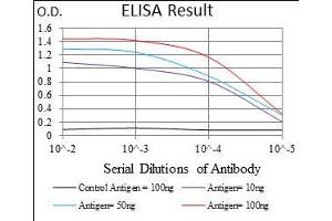 Fig. (Trefoil Factor 2 anticorps  (AA 20-125))