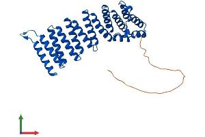 AlphaFold protein structure predicition of Human Recombinant NAPG Protein, UniprotID Q99747