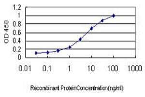 Detection limit for recombinant GST tagged SPRY2 is approximately 0.