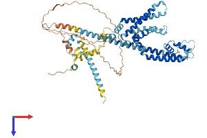 AlphaFold protein structure predicition of Mouse Recombinant Catsper2 Protein, UniprotID A2ARP9