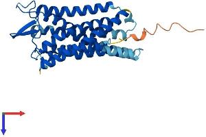 AlphaFold protein structure predicition of Human Recombinant FFAR1 Protein, UniprotID O14842