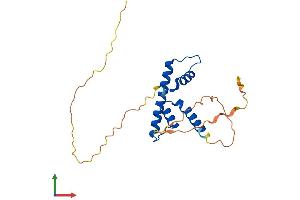 AlphaFold protein structure predicition of Mouse Recombinant Nfyb Protein, UniprotID P63139