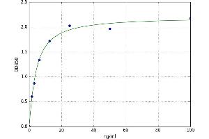 A typical standard curve (CD3 epsilon Kit ELISA)