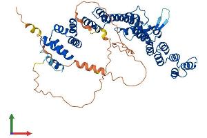 AlphaFold protein structure predicition of Mouse Recombinant Vipas39 Protein, UniprotID Q8BGQ1
