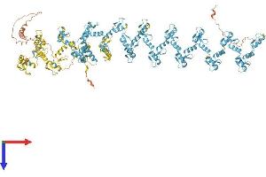 AlphaFold protein structure predicition of Human Recombinant ZNF729 Protein, UniprotID A6NN14