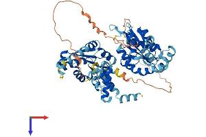 AlphaFold protein structure predicition of Human Recombinant AK5 Protein, UniprotID Q9Y6K8