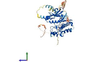 AlphaFold protein structure predicition of Human Recombinant STK32C Protein, UniprotID Q86UX6