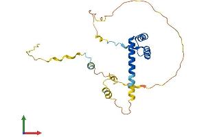 AlphaFold protein structure predicition of Human Recombinant NKX3-1 Protein, UniprotID Q99801