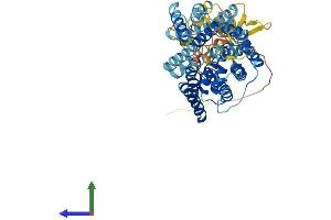 AlphaFold protein structure predicition of Human Recombinant SLC38A9 Protein, UniprotID Q8NBW4